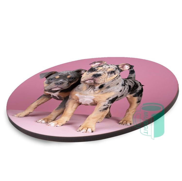 Hardboard Coasters